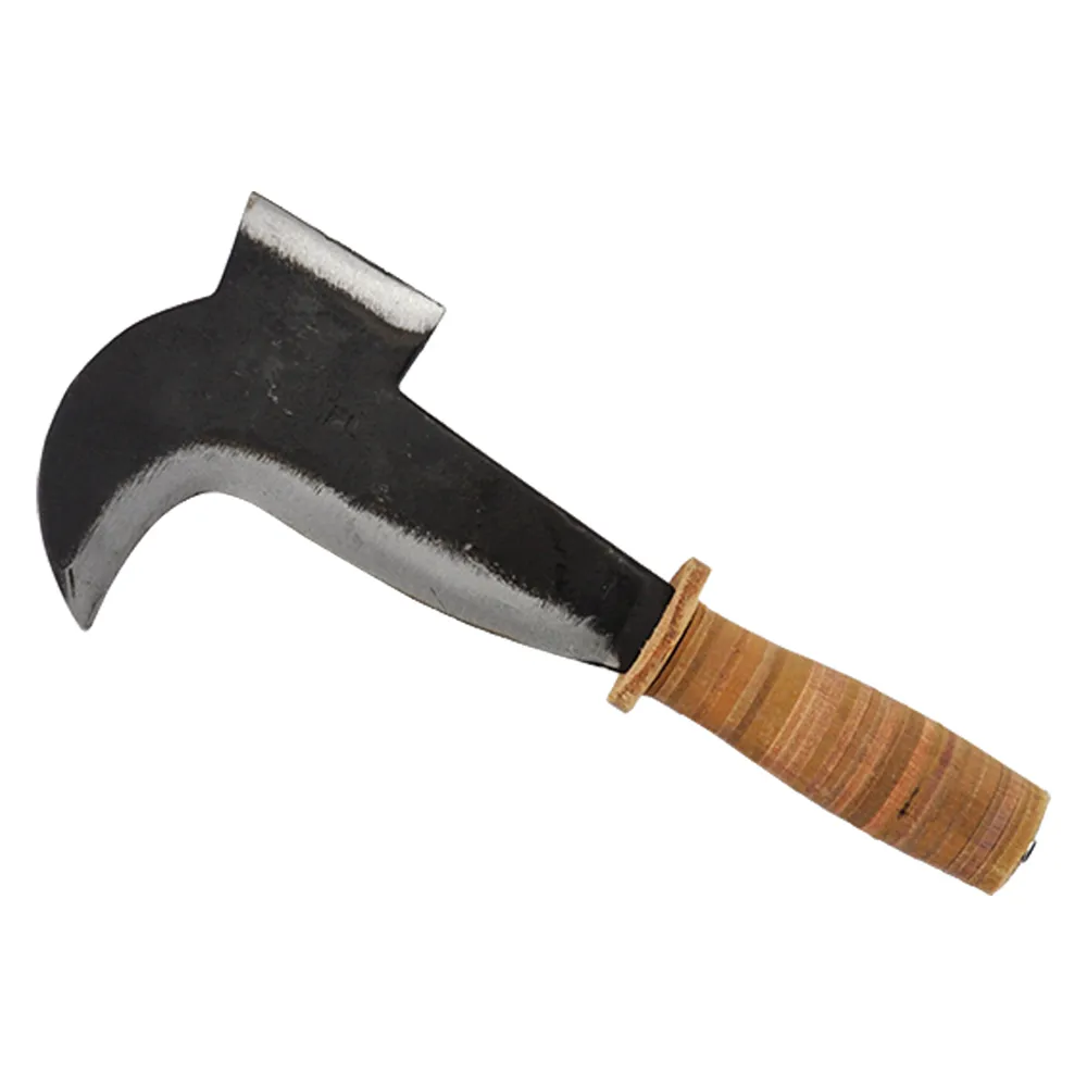 PENNATINO 'MERONE' cm 18 - 1 PZ