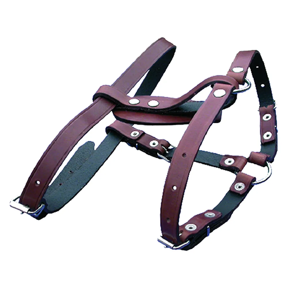 PETTORALE PER CANE 202/A - max 18 kg - 1 PZ