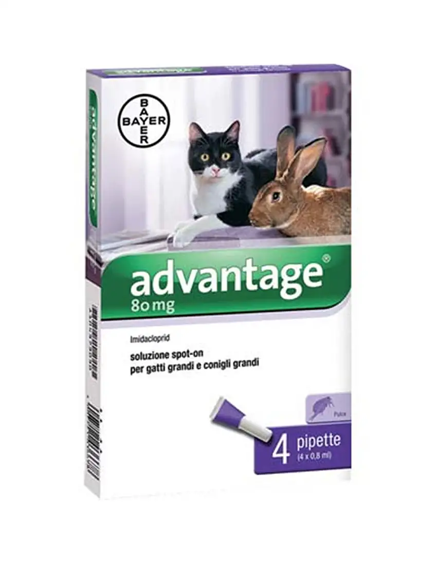 ANTIPARASSITARIO ADVANTAGE GATTI ELANCO KG 4+ CFPZ 4