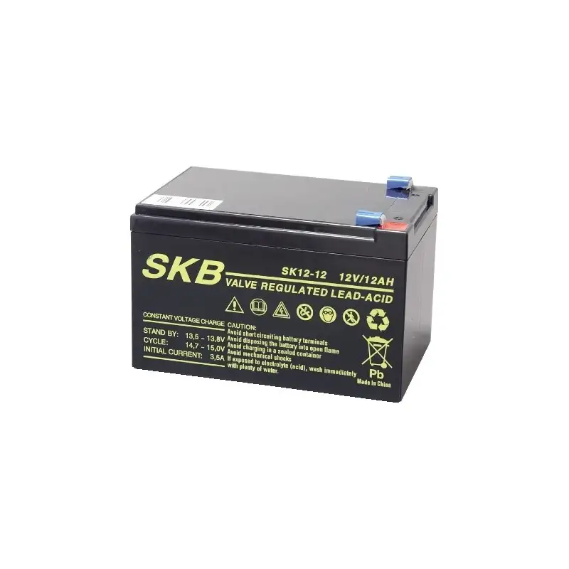 Batteria al piombo 12V 12AH ricaricabile