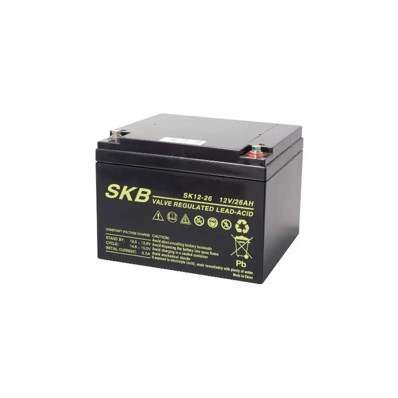 Batteria al piombo 12V 26AH ricaricabile