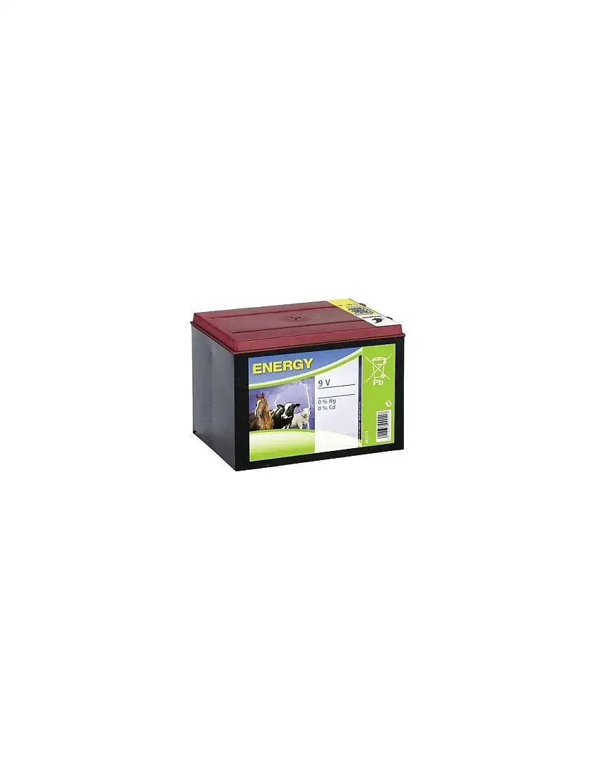 BATTERIA ELETTRORECINZIONE KERBL