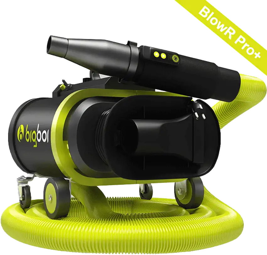 Bigboi BlowR Pro Plus MKII