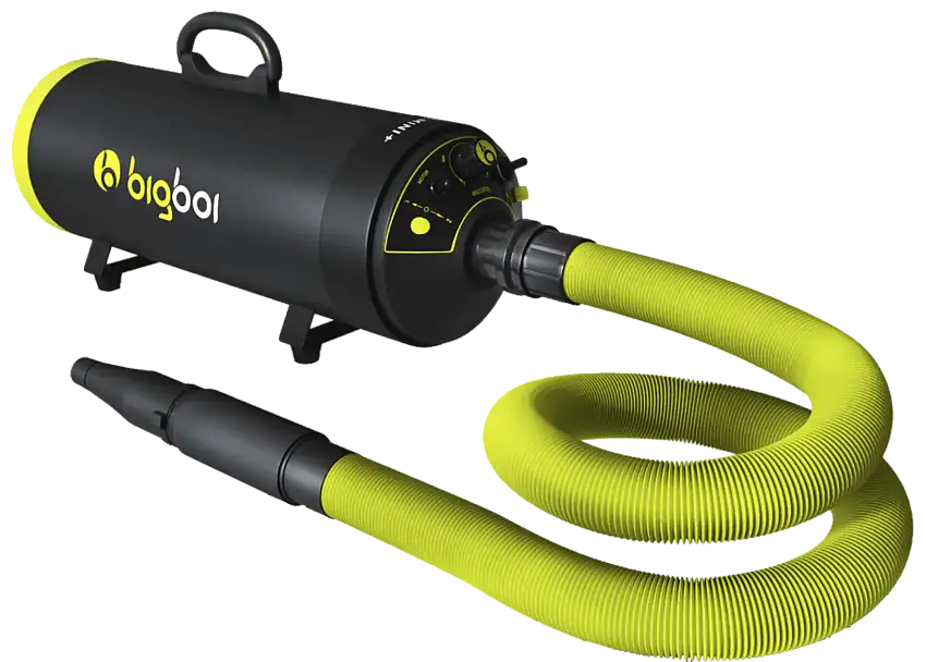 Bigboi BlowR Mini Plus Twin Motor
