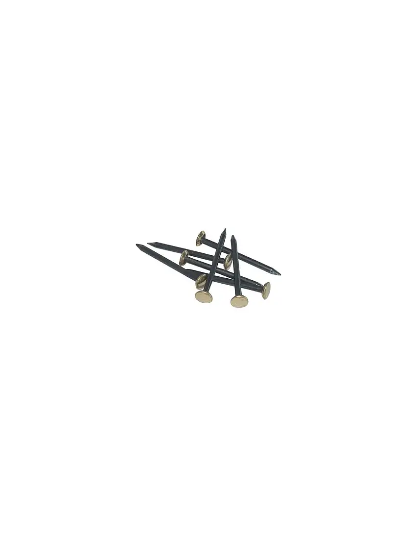 CHIODO TESTA OTTONE ACCIAIO CFPZ 100 MM 20