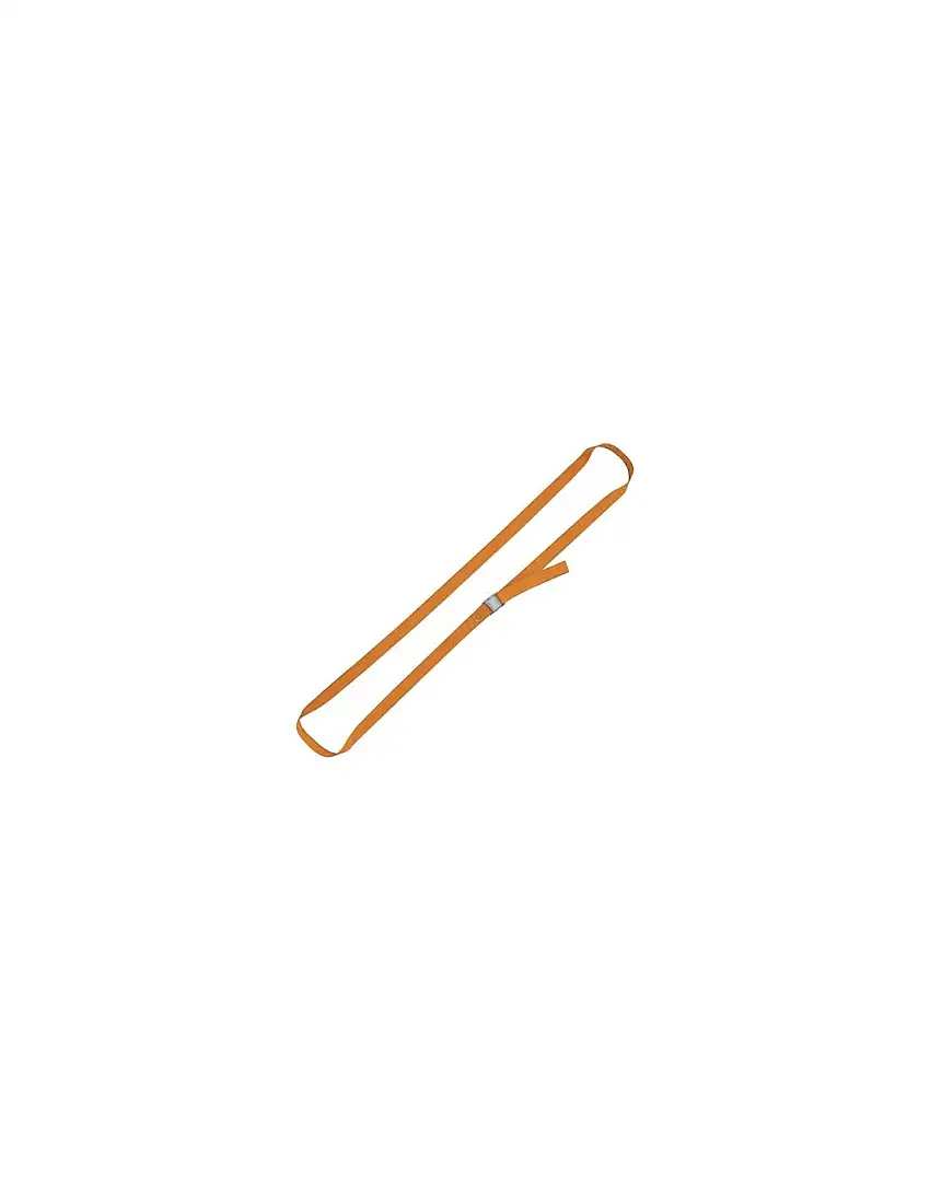 CINGHIA AD ANELLO 8188F ROBUR