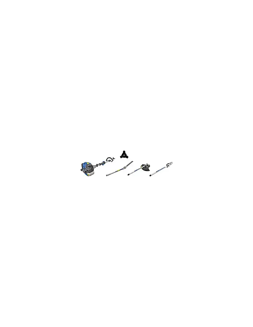DECESPUGLIATORE 3 IN 1 35250 HYUNDAI