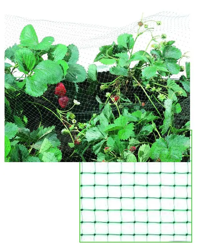 RETE PLASTICA ANTIUCCELLI NERA 19X19 MM 200 M H. 200 CM