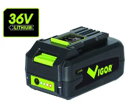 ACC.RI VIGOR LITIO SERIE VX BATTERIA VX 36V 2,5AH