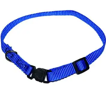 COLLARE PER CANI BLINKY POLIESTERE SMALL TG.23-32CM