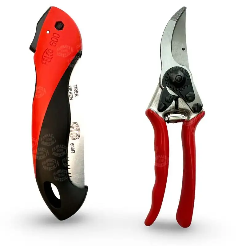 Felco 11 + Felco 600 – Kit Potatura Forbici + Seghetto