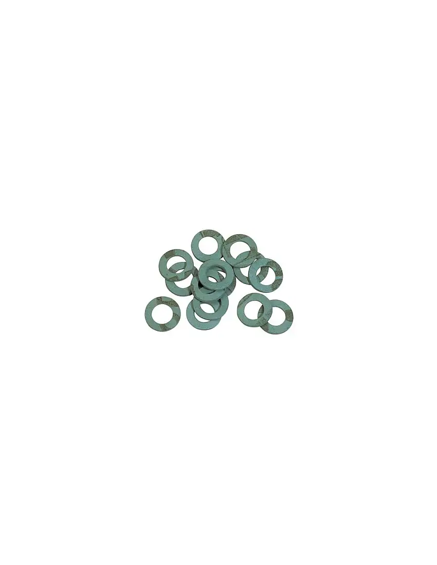 GUARNIZIONE PIANA SANITARI 3/4 CFPZ 100