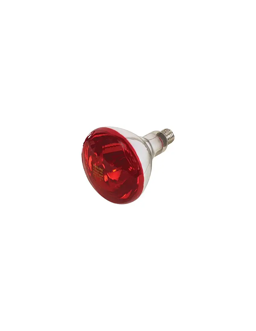 LAMPADA RIFLETTORE PULCINI
