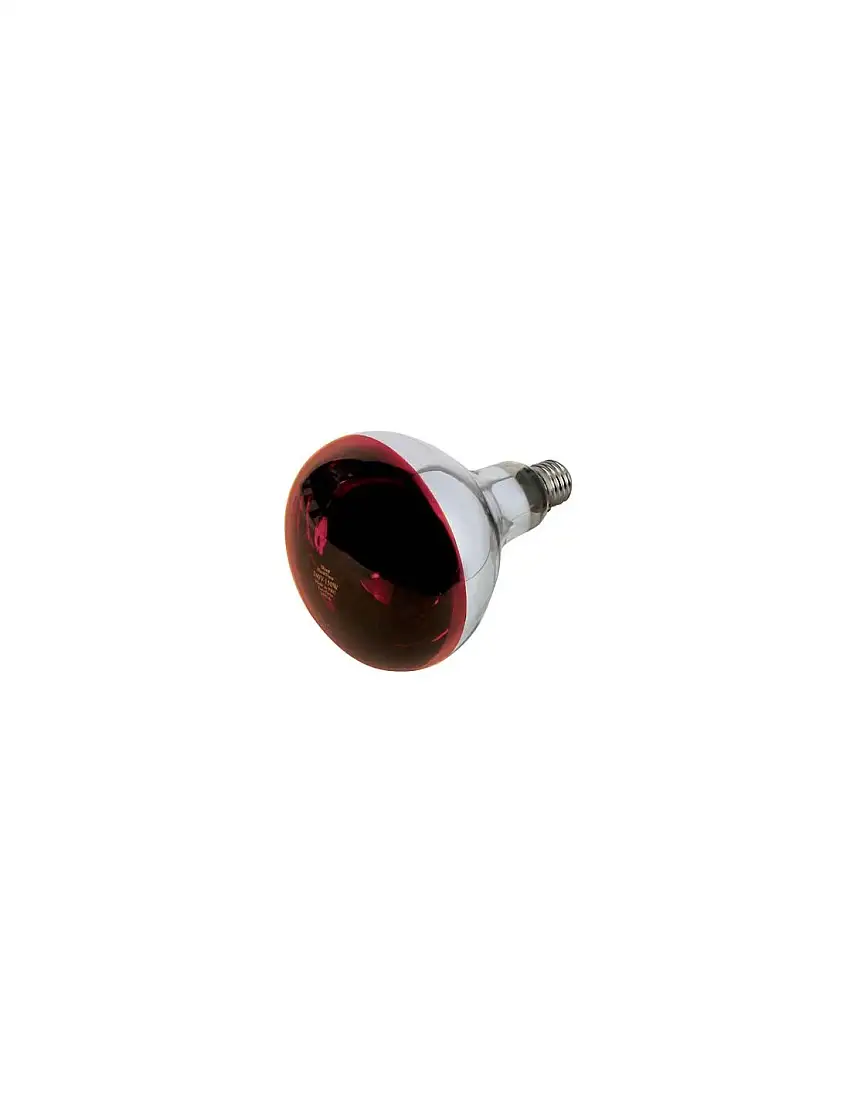LAMPADA RIFLETTORE PULCINI PHILIPS